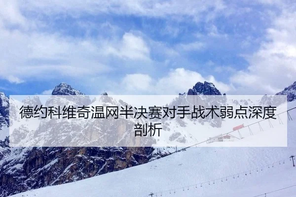 德约科维奇温网半决赛对手战术弱点深度剖析