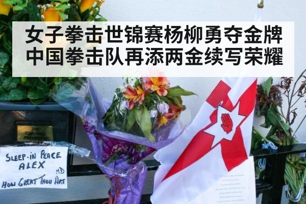 女子拳击世锦赛杨柳勇夺金牌中国拳击队再添两金续写荣耀
