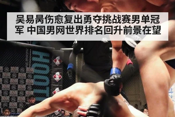 吴易昺伤愈复出勇夺挑战赛男单冠军 中国男网世界排名回升前景在望