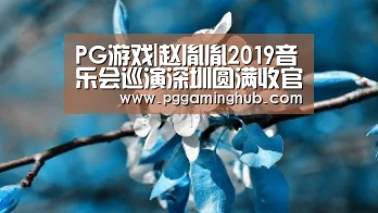PG游戏